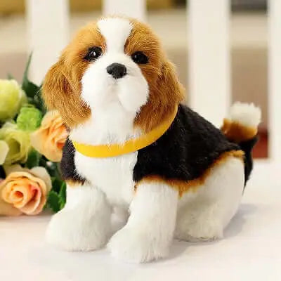 Pet Products EBOYGIFTS